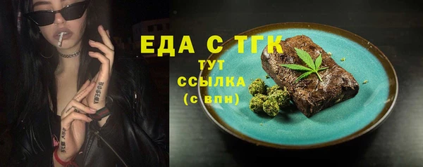 индика Пестово