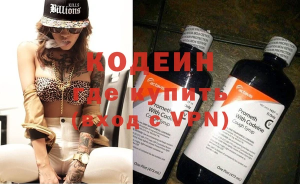 крисы Абаза