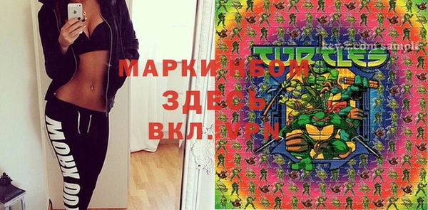 крисы Абаза