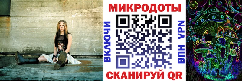 Псилоцибиновые грибы Psilocybe  Кандалакша 
